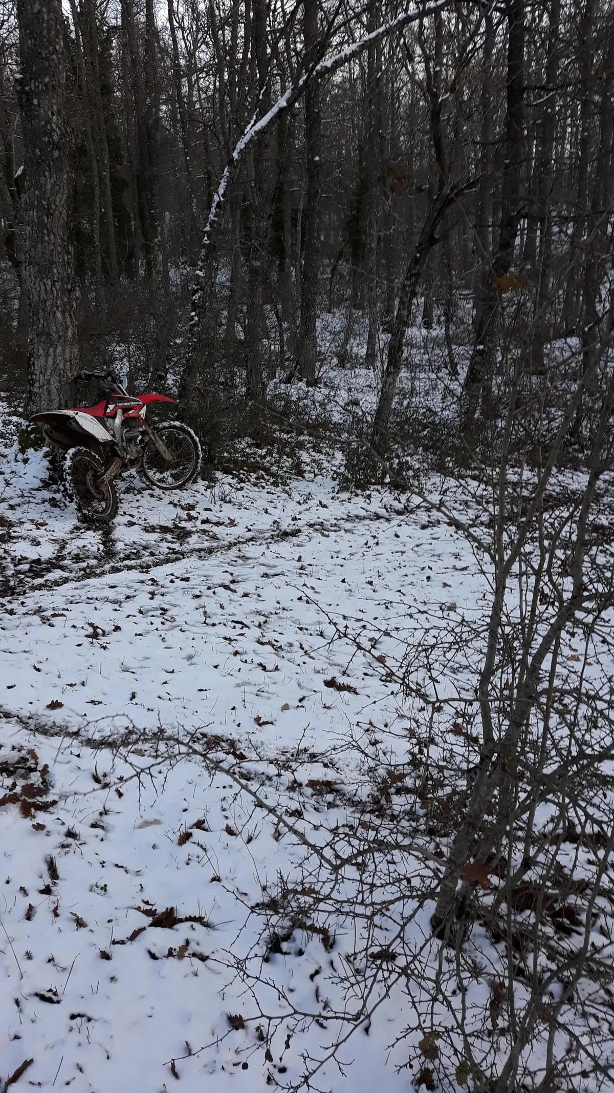 AgnelloTreffen 2019: con Moto.it partirà Matteo! (38)