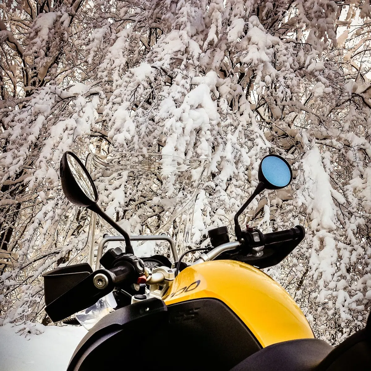 AgnelloTreffen 2019: con Moto.it partirà Matteo! (64)