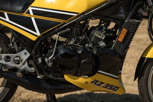 Yamaha RZ350 Kenny Roberts Edition all’asta negli USA (2)