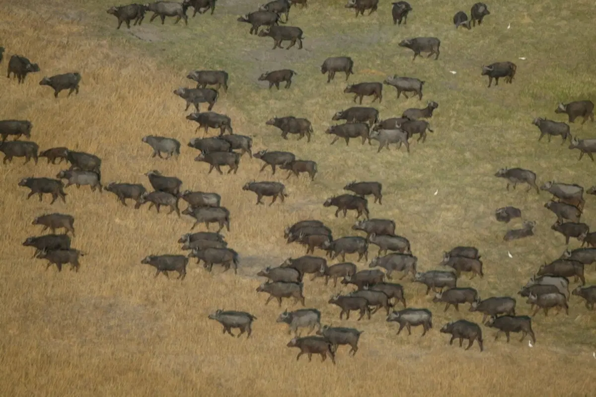 Turismo. Botswana e Namibia