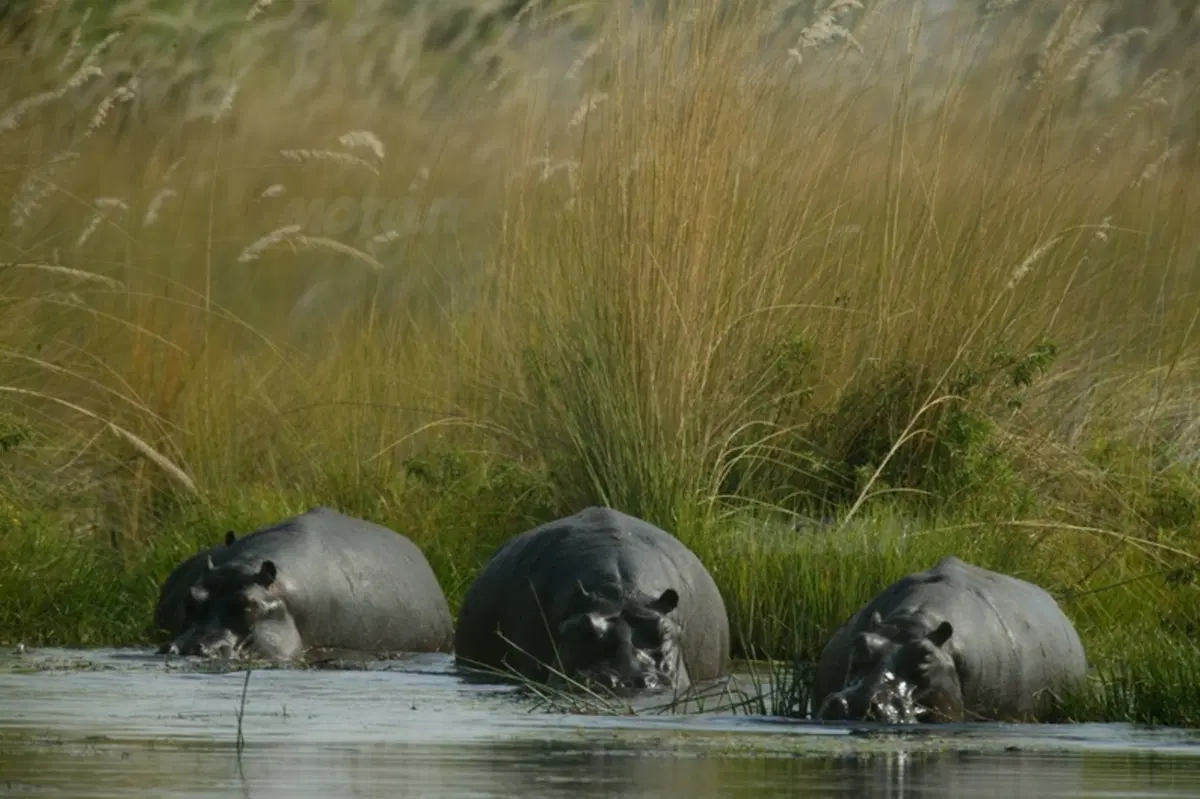 Turismo. Botswana e Namibia (6)