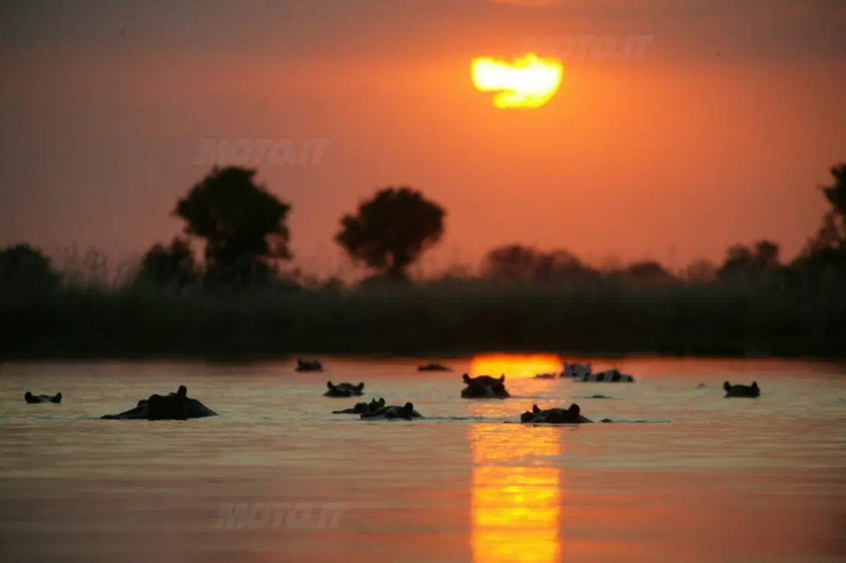 Turismo. Botswana e Namibia (8)