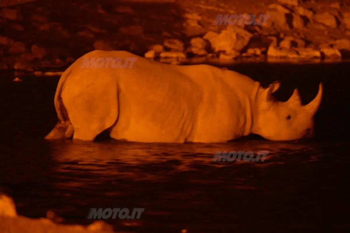 Turismo. Botswana e Namibia (11)