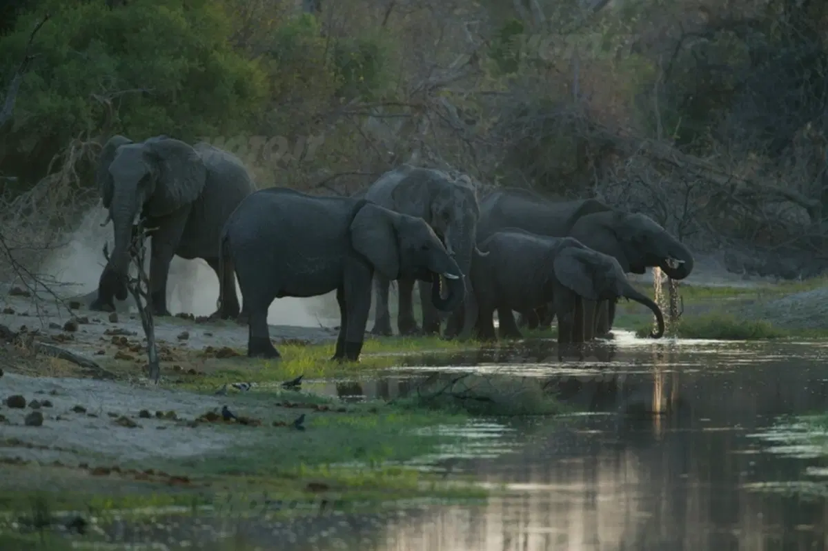 Turismo. Botswana e Namibia (14)