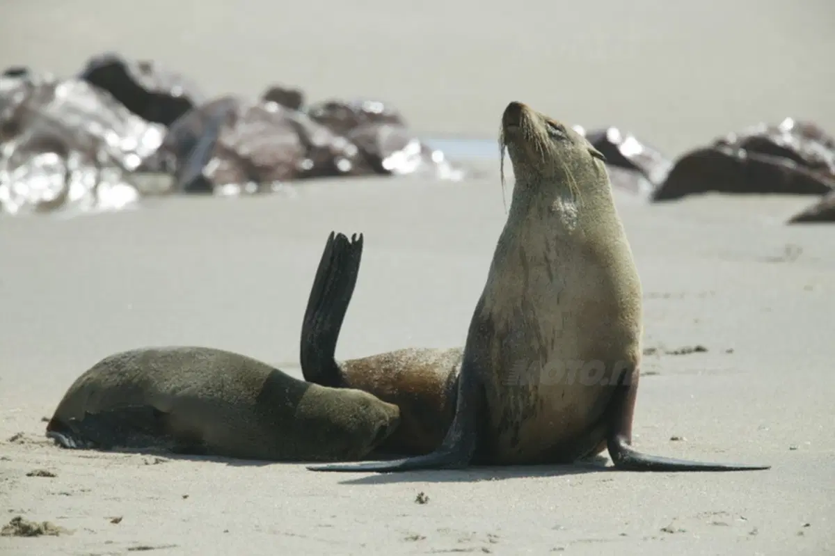 Turismo. Botswana e Namibia (23)