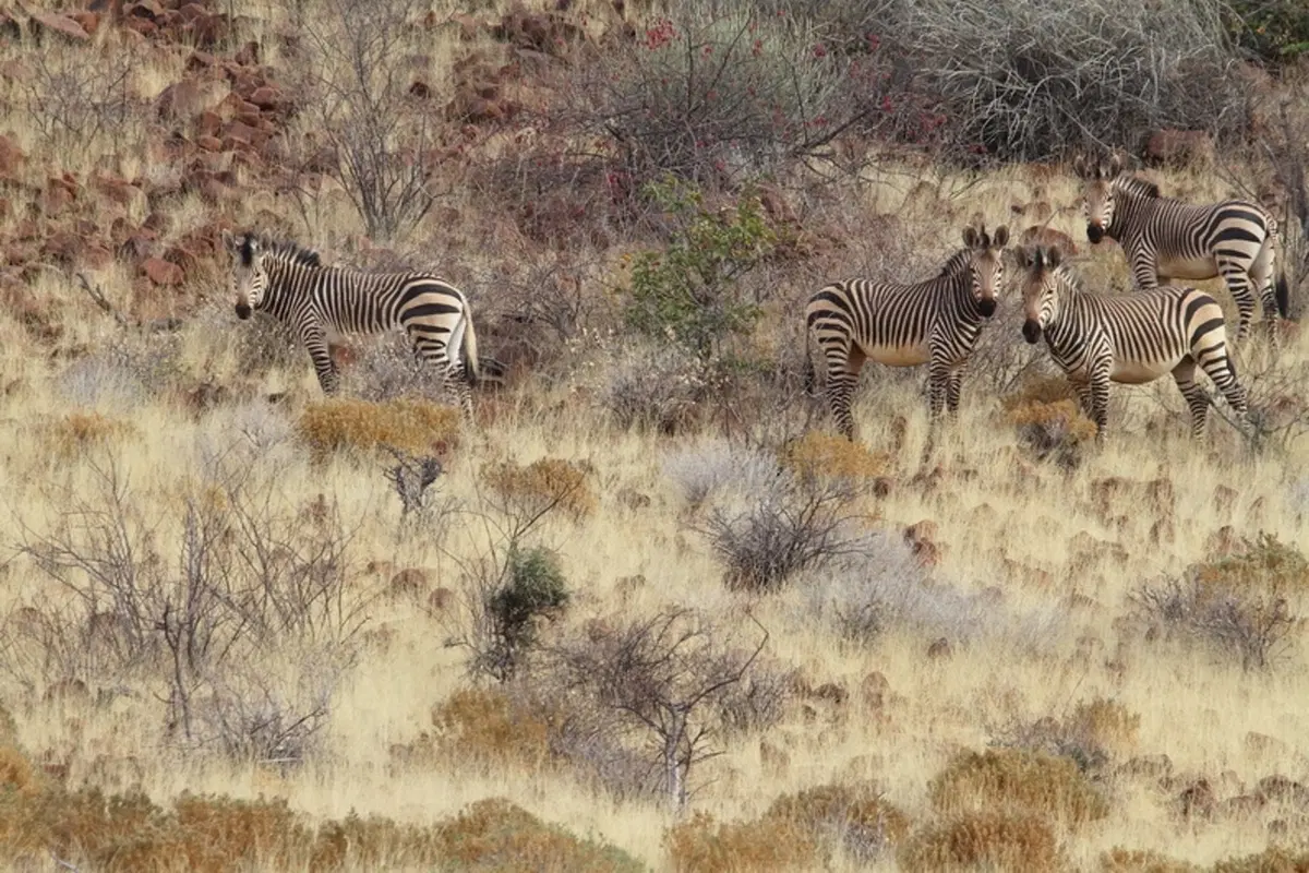 Turismo. Botswana e Namibia (46)
