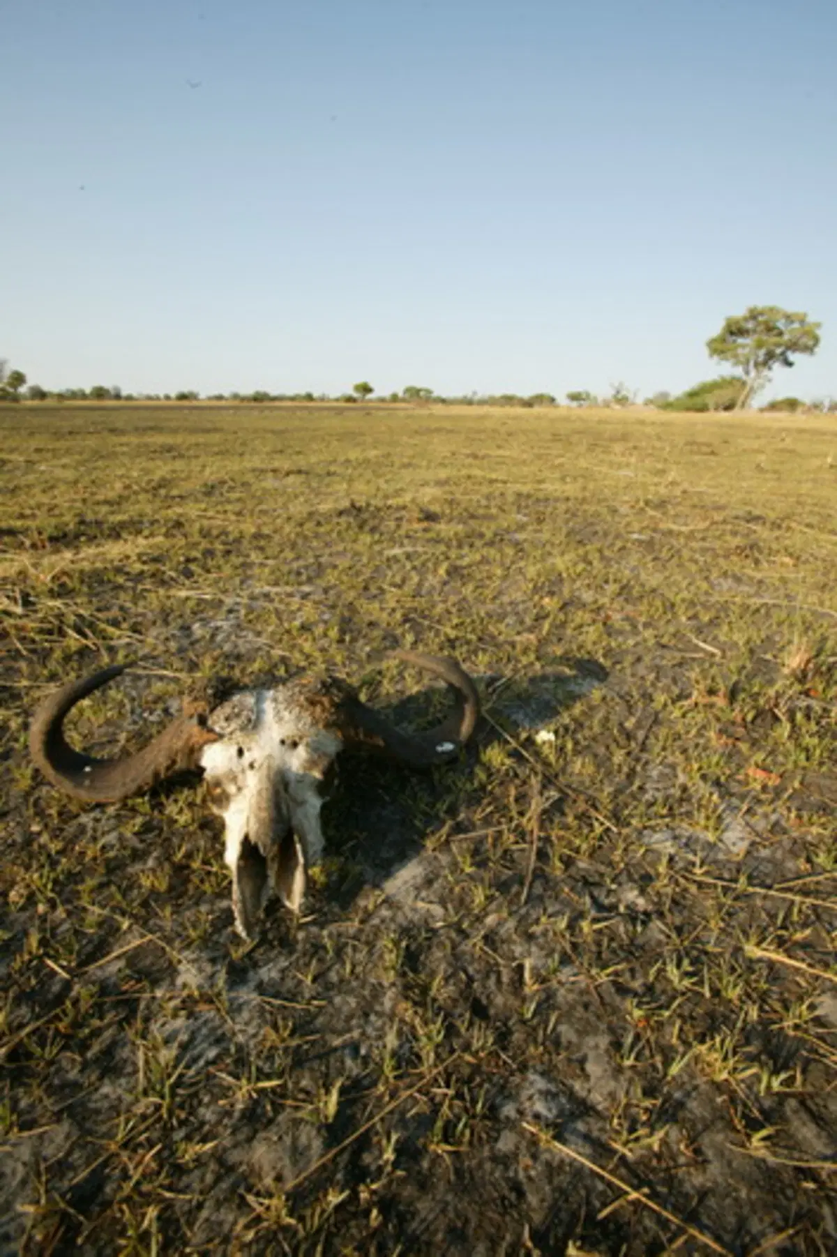 Turismo. Botswana e Namibia (70)