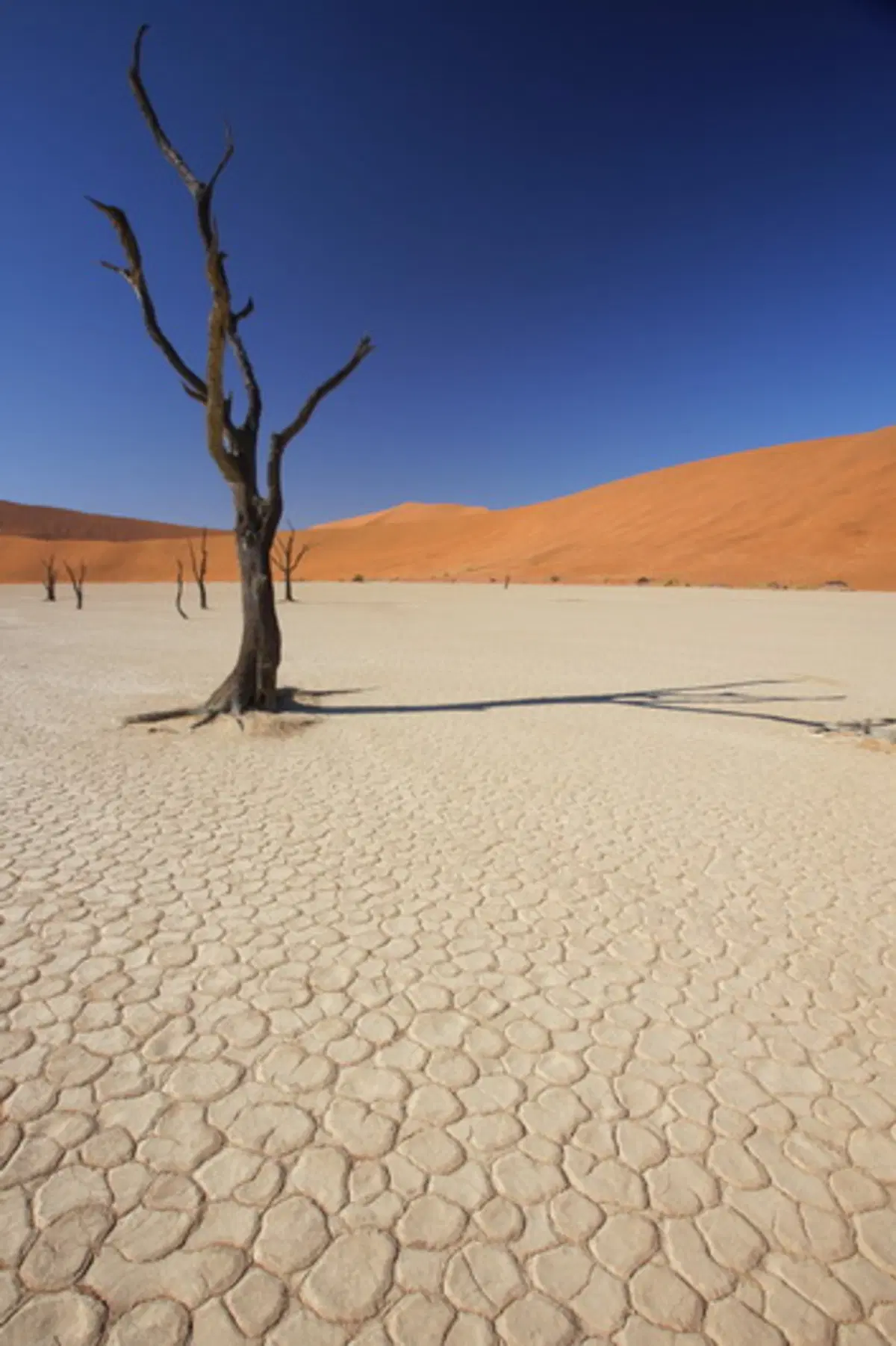 Turismo. Botswana e Namibia (74)