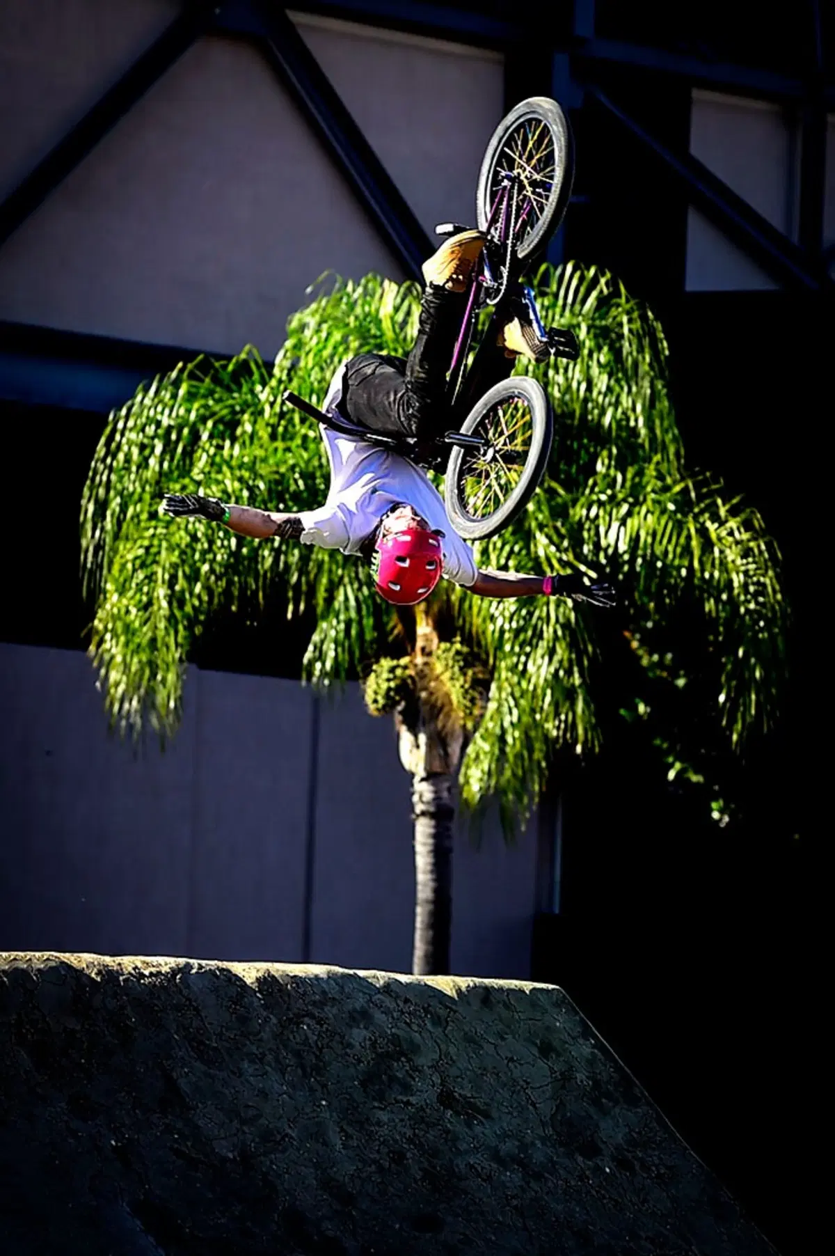 SX 2019. La gallery di Anaheim (60)