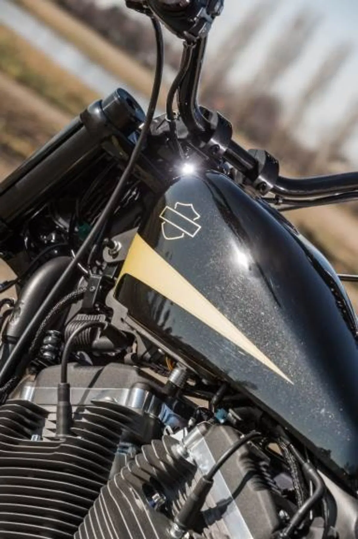 Harley – Davidson Parma: la XR1200 FT “The Answer” per la Battle of the Kings (8)