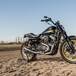 Harley–Davidson Parma: la XR1200 FT “The Answer” per la Battle of the Kings