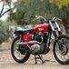 BSA Hornet del 1967: all'asta un bellissimo esemplare di desert racer