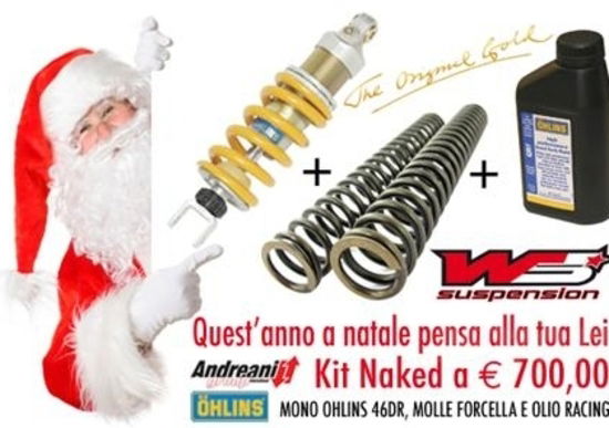 Kit Öhlins da WS Suspension