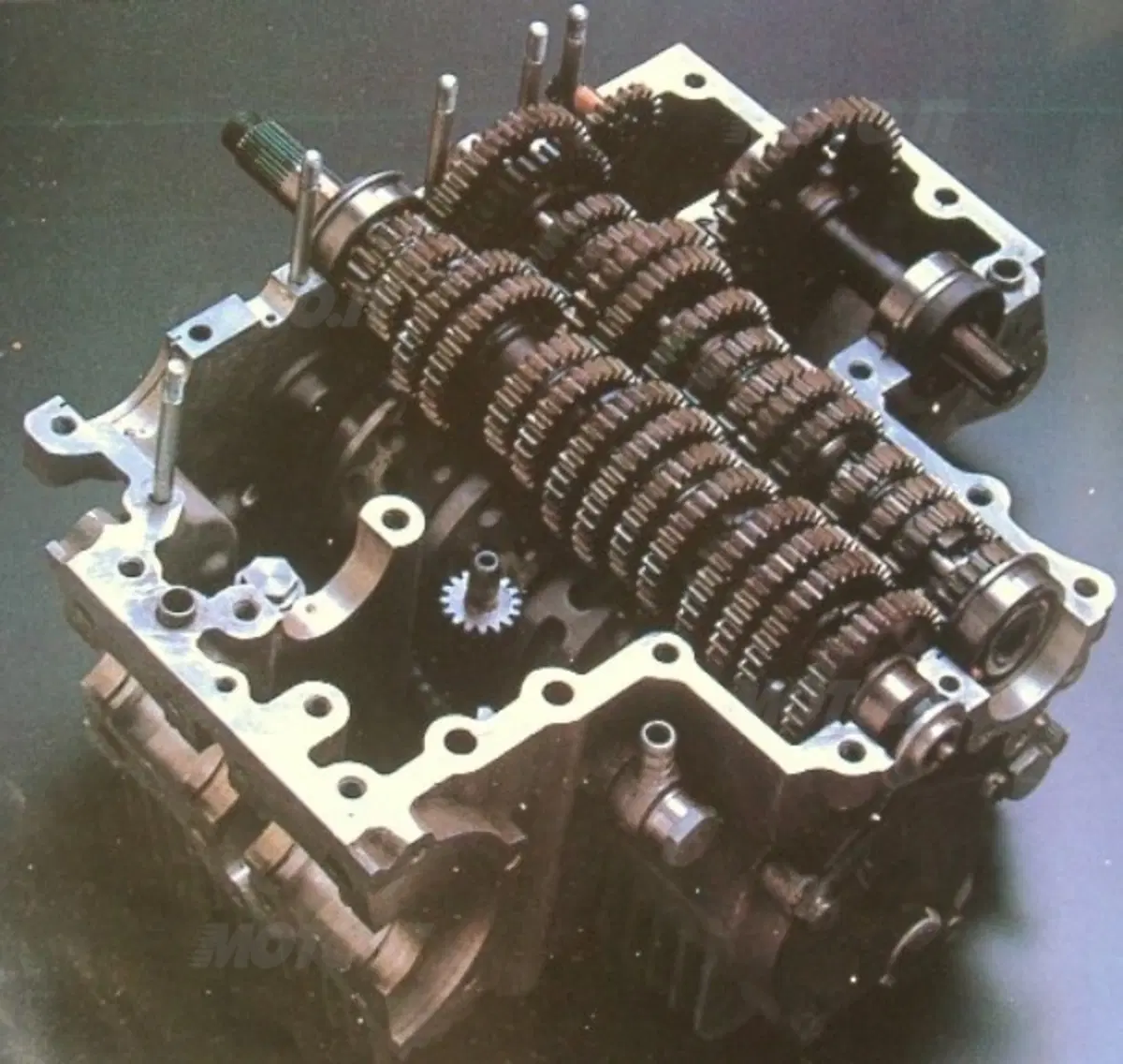 La Suzuki e Mitsuo Itoh (3)