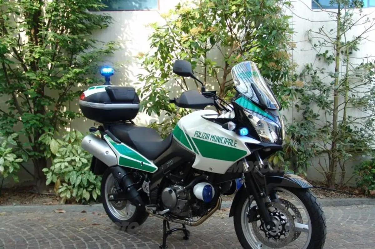 La Suzuki V-Strom in divisa (6)