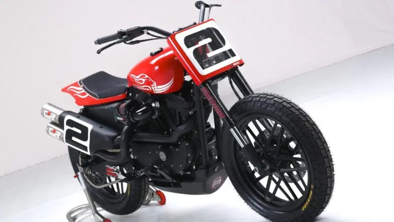 Harley-Davidson XL1200 Roadster by Shaw Harley-Davidson