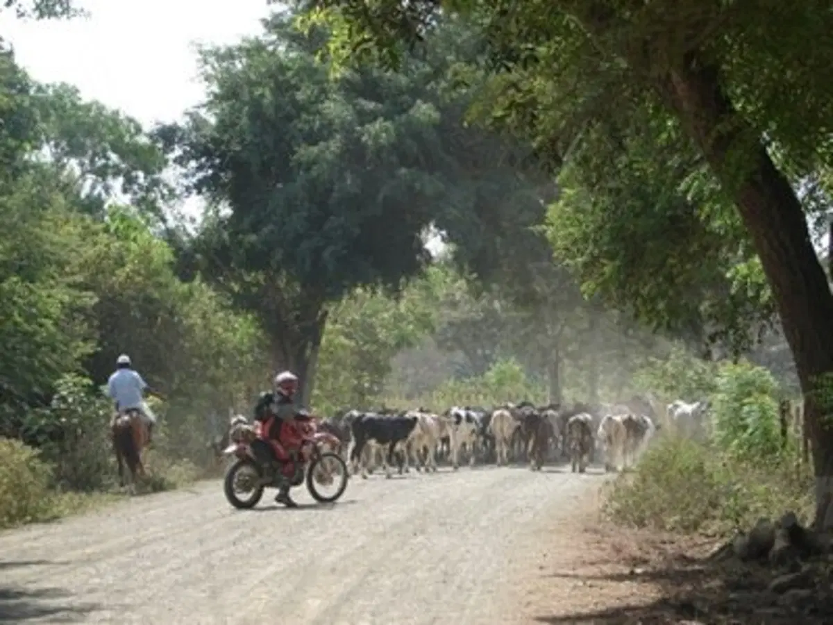 In moto sulle Ande (22)