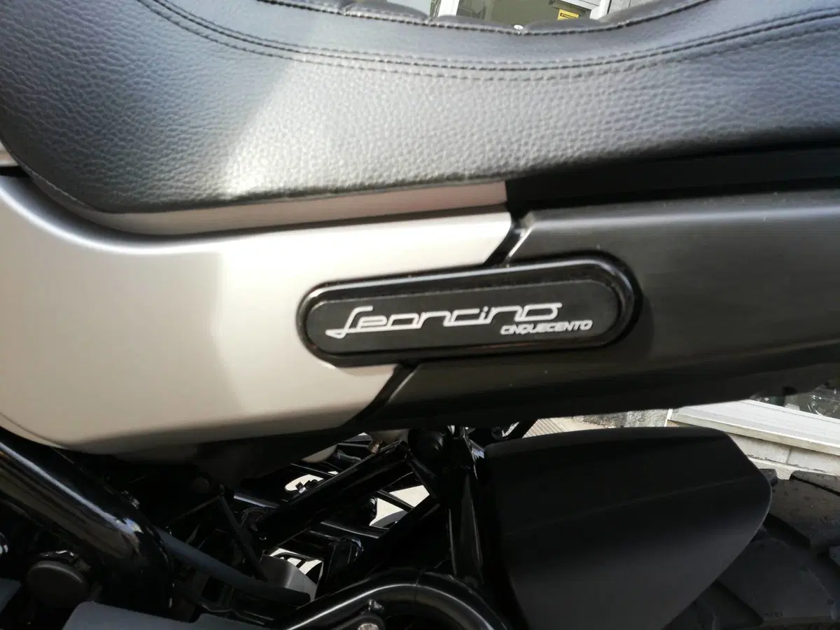 Benelli Leoncino 500 Trail (2021 - 26) (7)