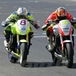 Trofei Honda, dal 2011 anche la CBR600F Cup