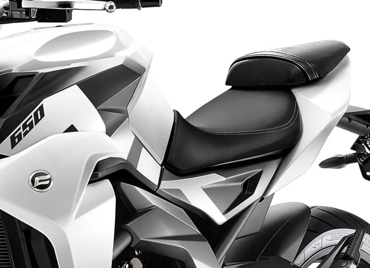CFMOTO 650NK 650NK (2019 - 20) (5)
