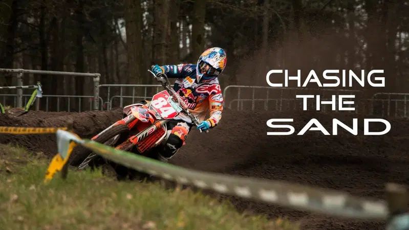 Herlings sulla sabbia a Boekel