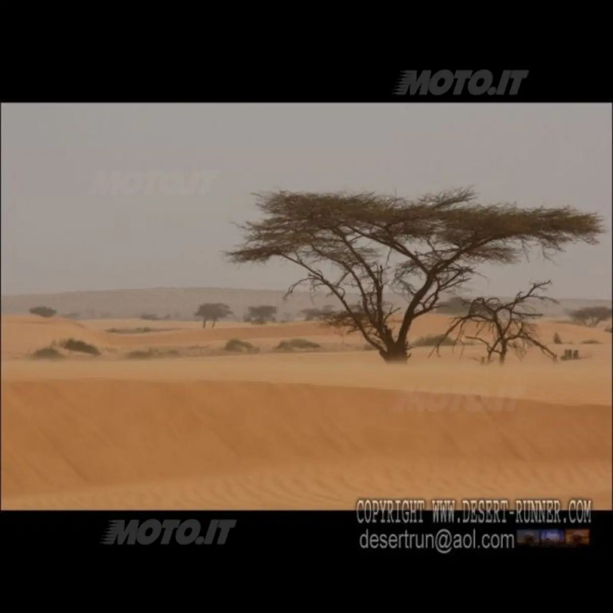 L'Africa Eco Race ha raggiunto Dakar (4)