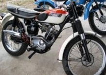 Triumph risfodera  la Cub?