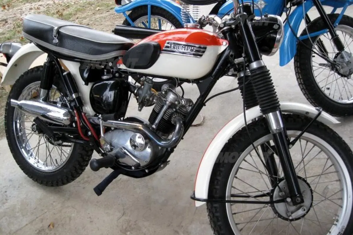 Triumph risfodera  la Cub?