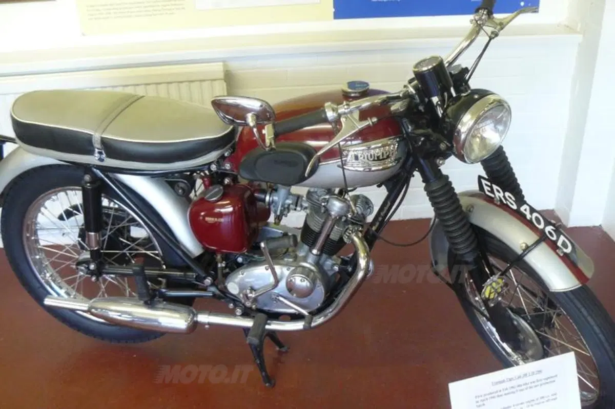Triumph risfodera  la Cub? (5)