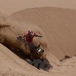 Dakar 2011, 9ª tappa. Il Gran Premio delle dune di Copiapò