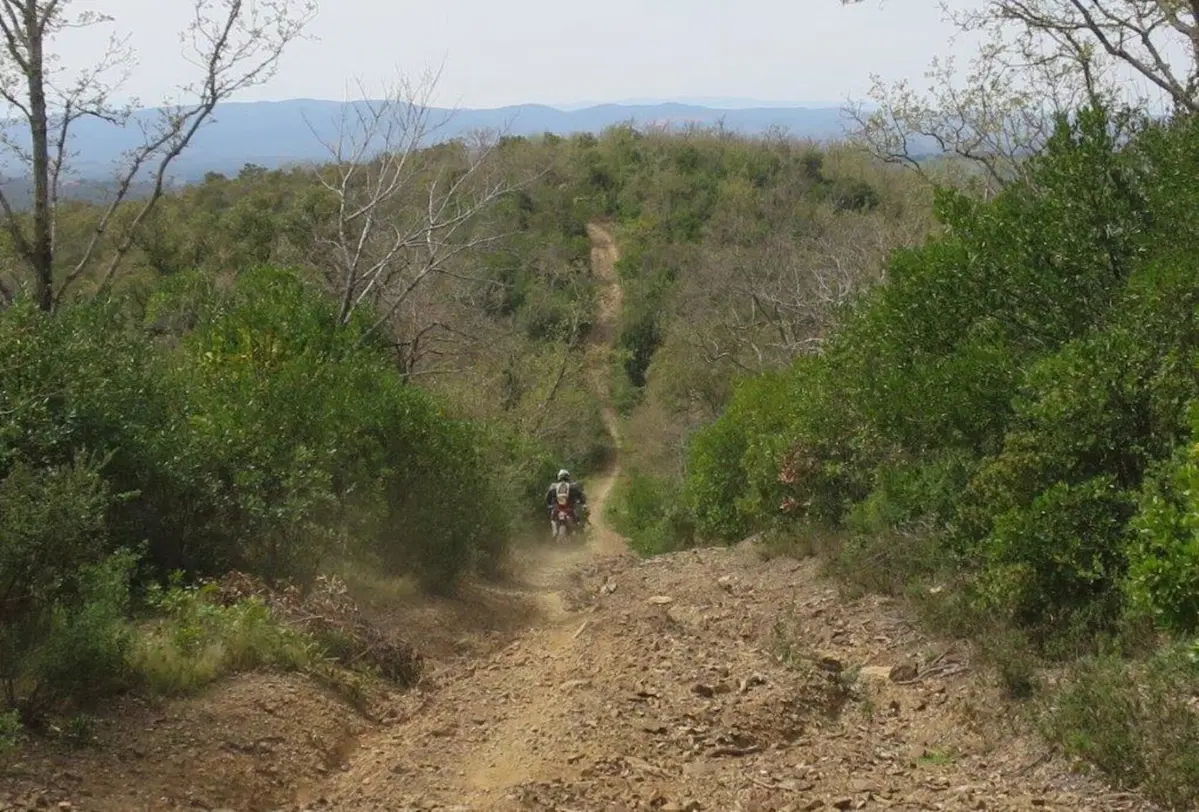 Motocavalcata Volterra-Follonica (14)