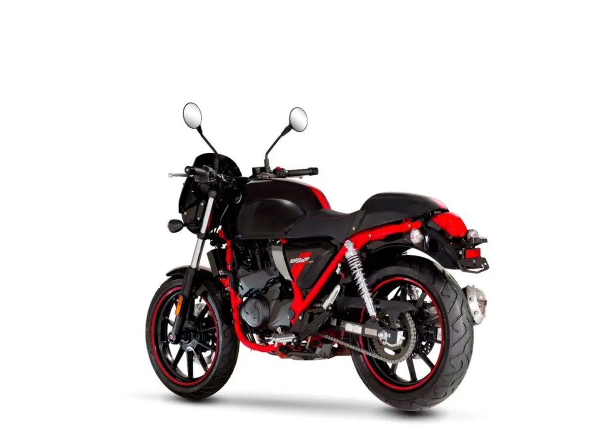 Sym Wolf CR 300 Wolf CR 300 (2019 - 20) (6)