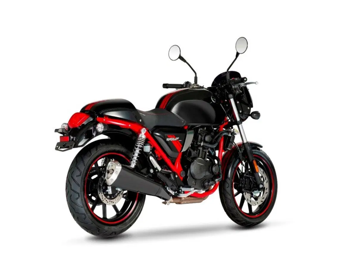 Sym Wolf CR 300 Wolf CR 300 (2019 - 20) (7)