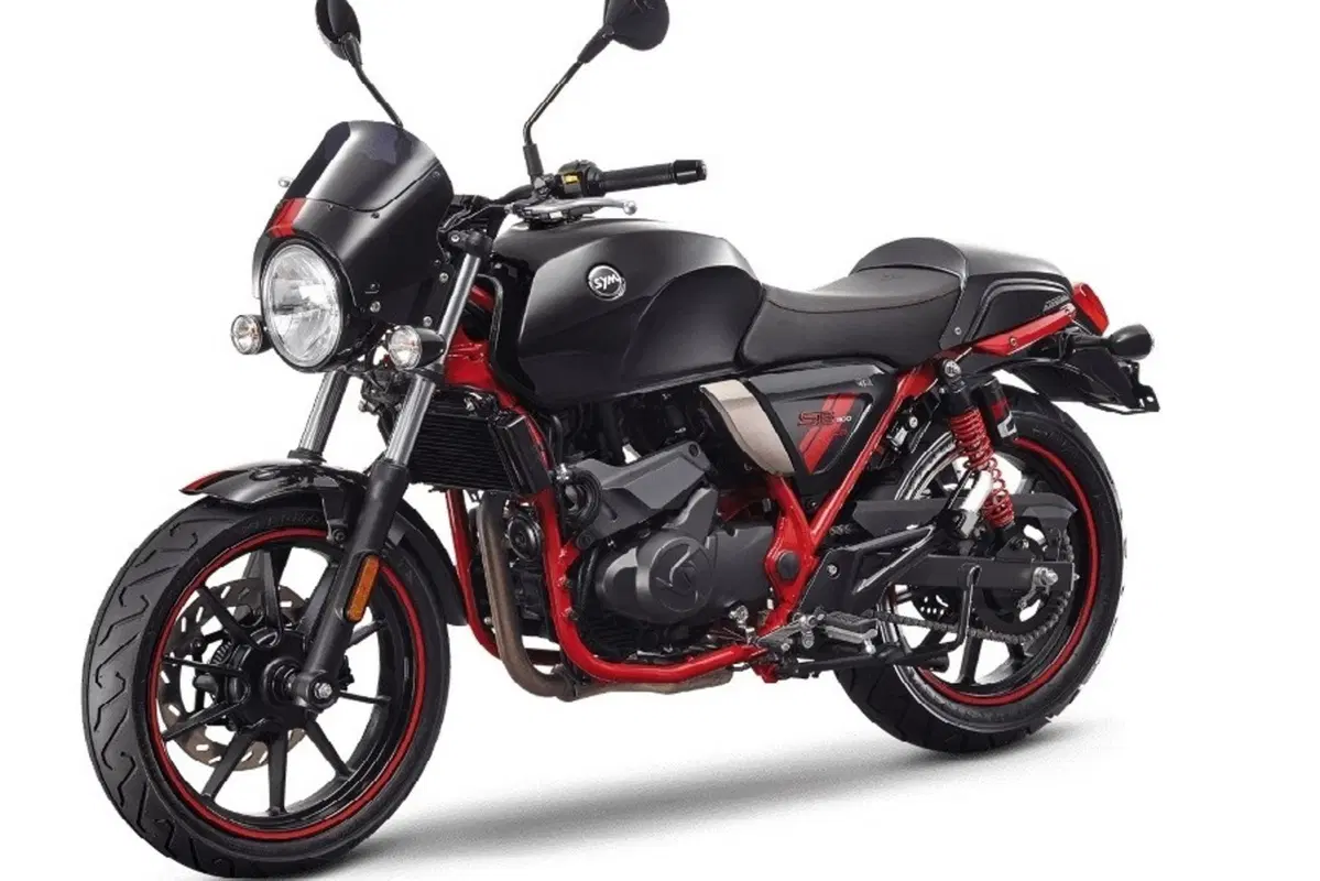 Sym Wolf CR 300 Wolf CR 300 (2019 - 20) (5)