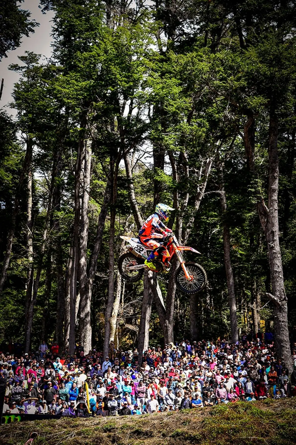 Gallery MX 2019. Le foto più belle del GP di Patagonia (32)