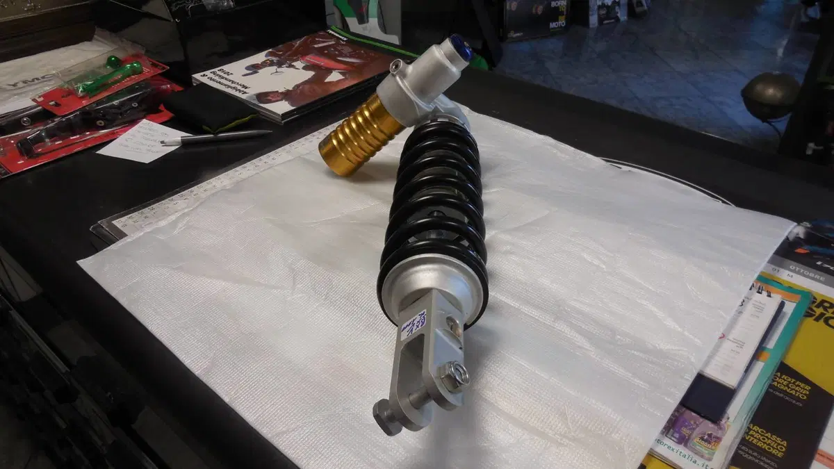 SOSPENSIONE POSTERIORE APRILIA RXV 450/550 Sachs (2)