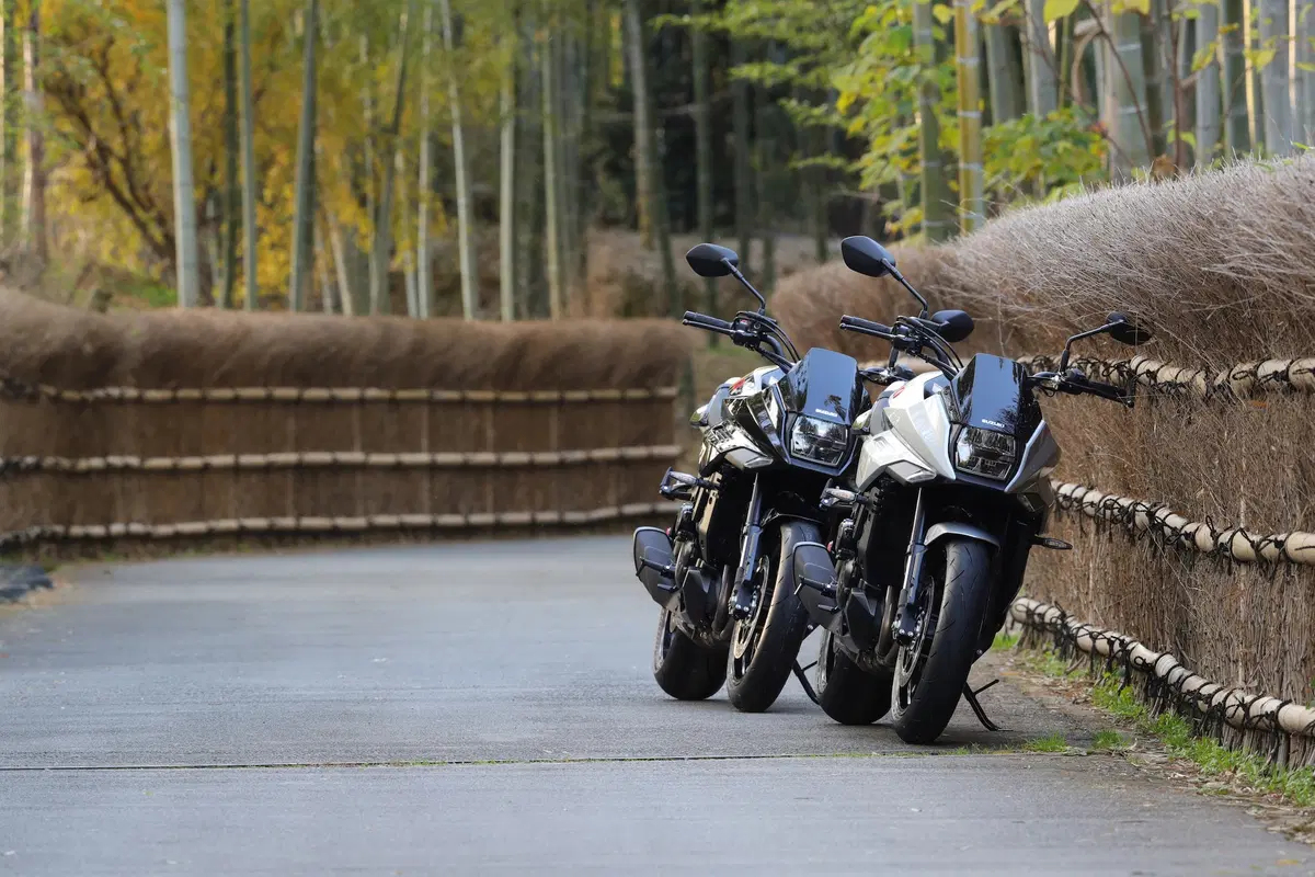 Suzuki Katana. Il ritorno della leggenda (30)