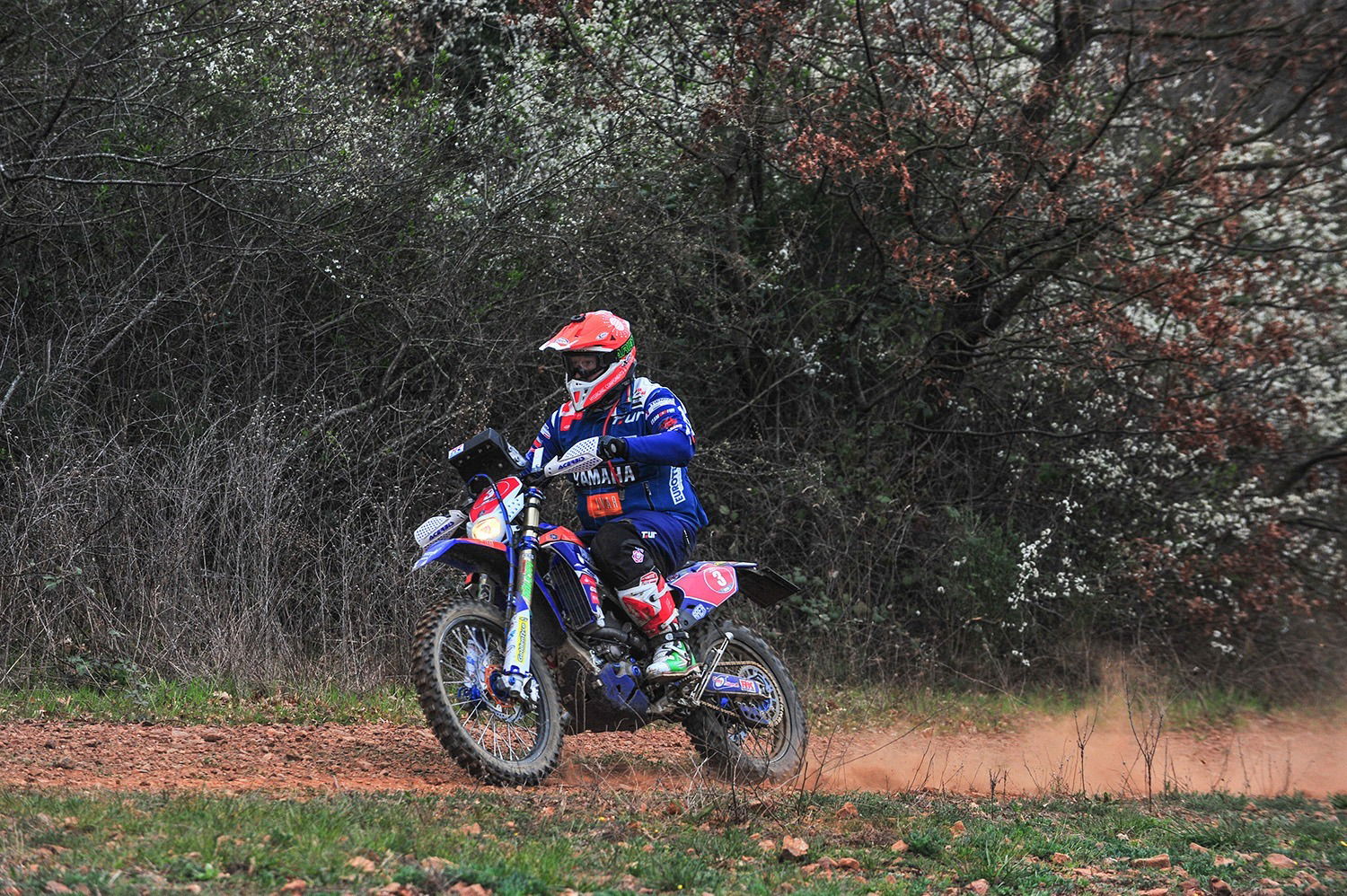 Prima Prova del Campionato Italiano Motorally: Botturi domina