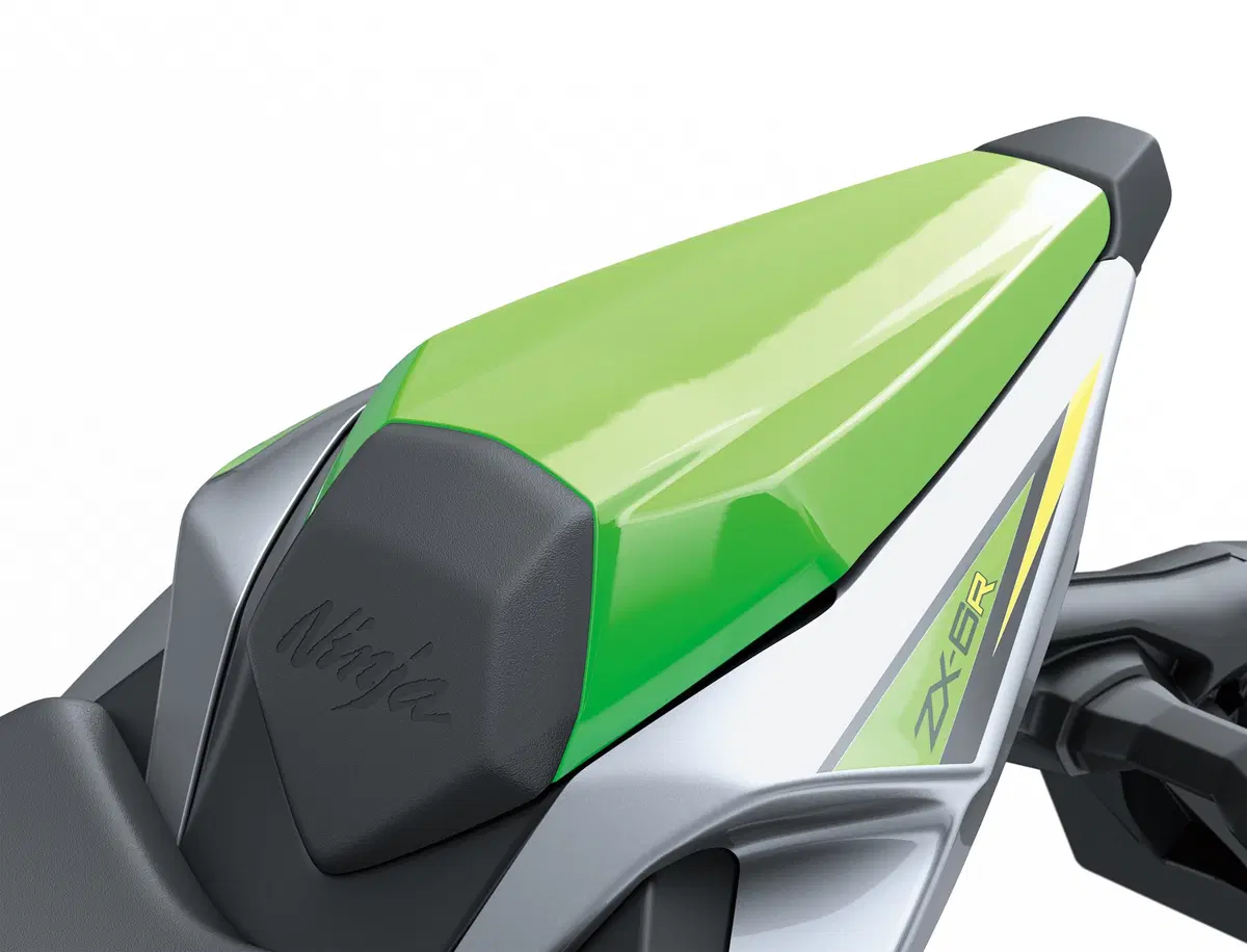 Kawasaki ZX-6R 636 2019. La fuorilegge