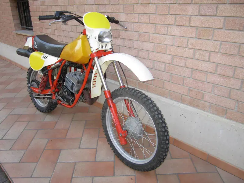 Puch Frigerio F3 250 GS  (3)