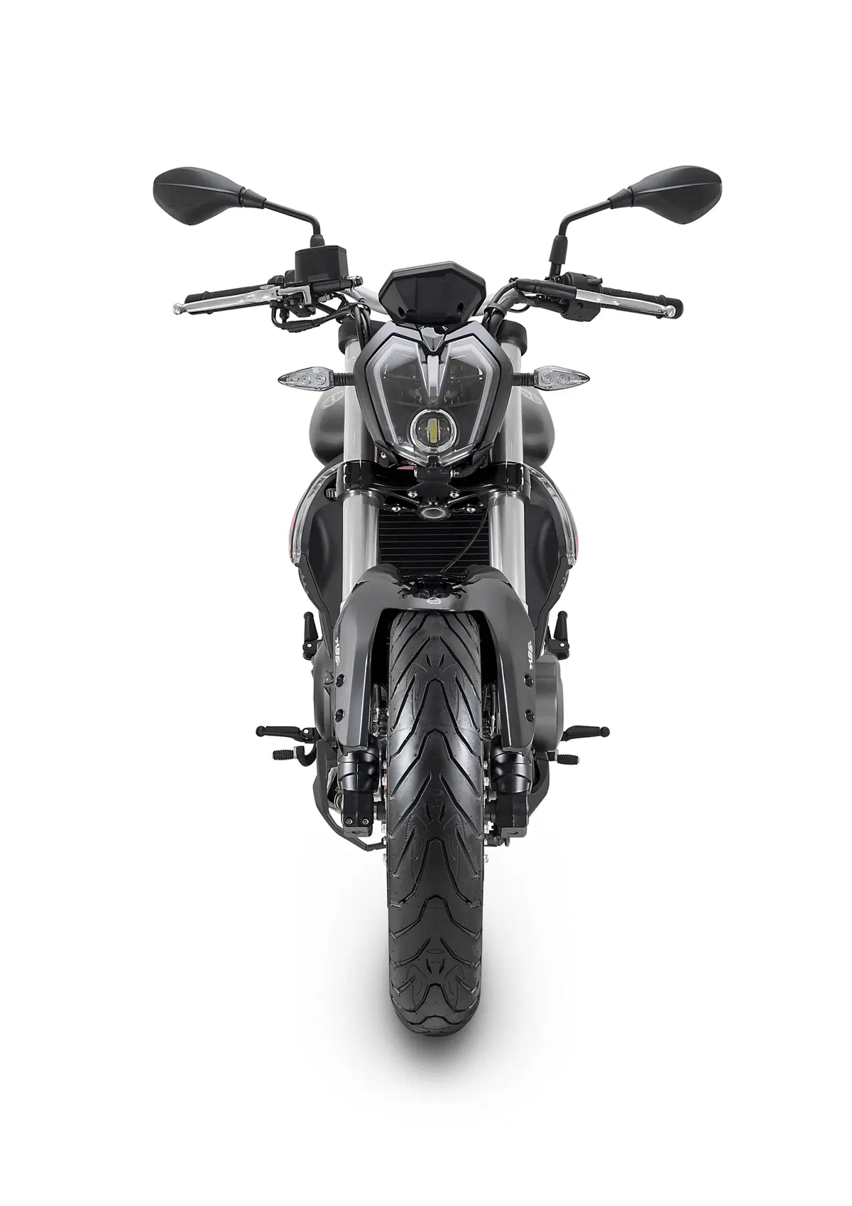 Benelli BN 302 BN 302 S (2019 - 20) (6)