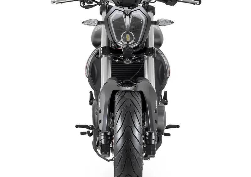 Benelli BN 302 BN 302 S (2019 - 20) (6)