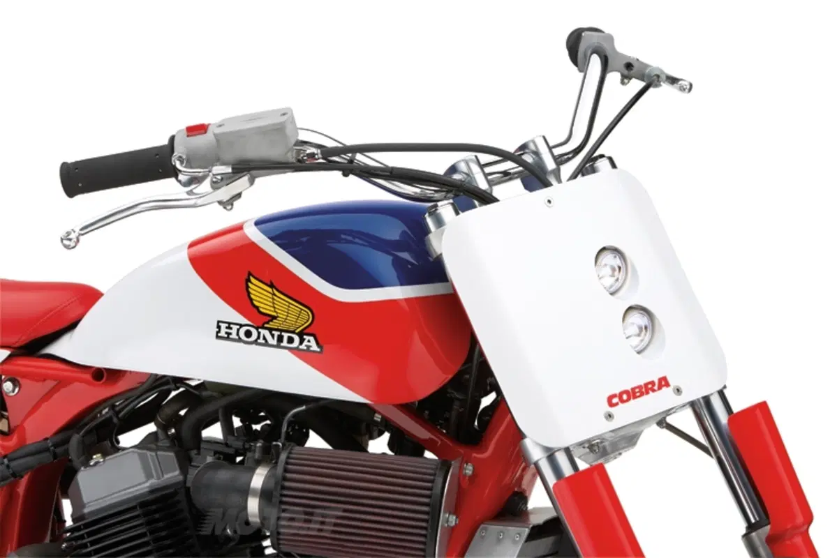 Come ti interpreto la Honda Shadow (14)