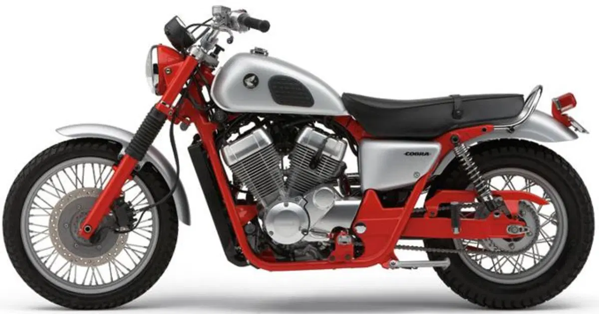 Come ti interpreto la Honda Shadow (26)