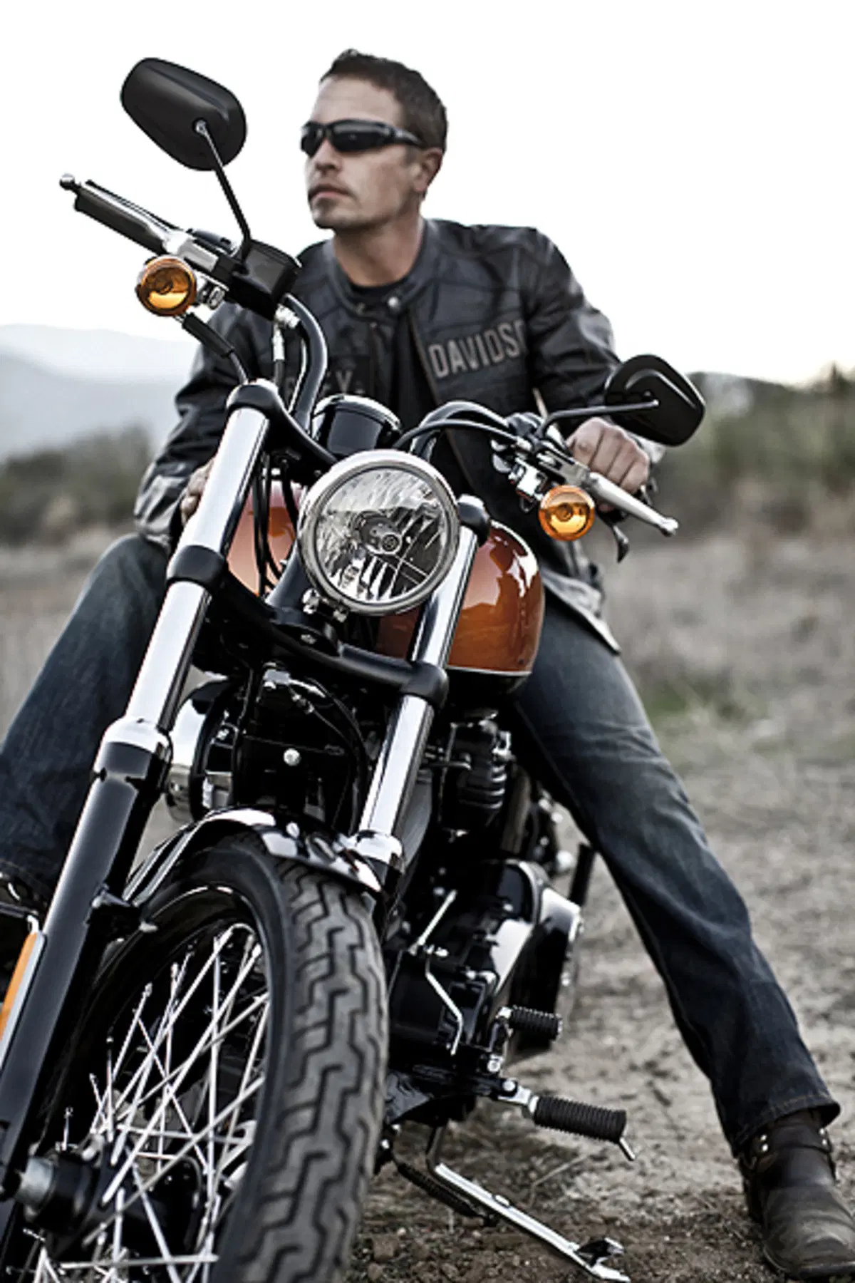 Nuova Harley-Davidson Softail Blackline