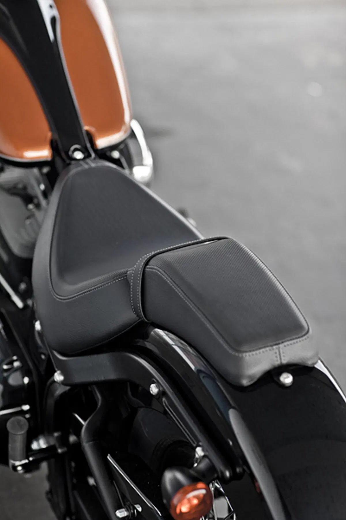 Nuova Harley-Davidson Softail Blackline (2)