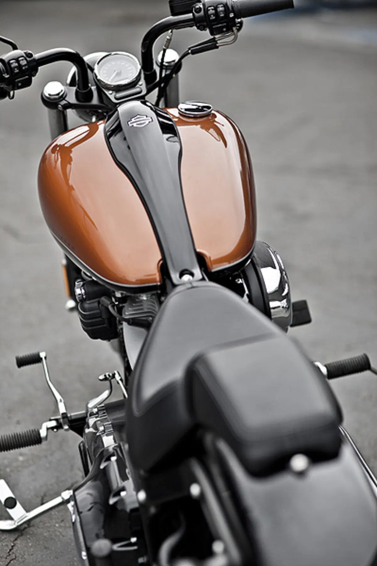 Nuova Harley-Davidson Softail Blackline (3)