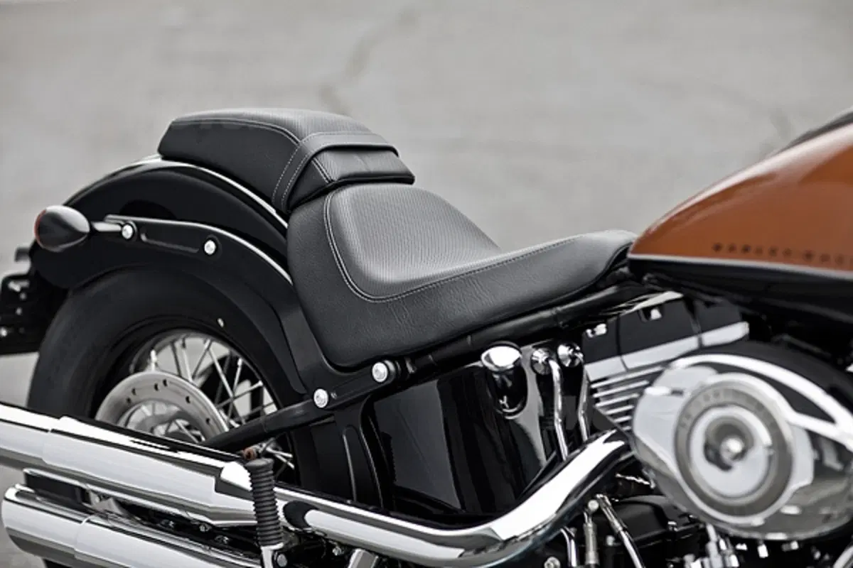 Nuova Harley-Davidson Softail Blackline (4)