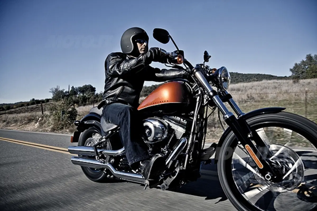 Nuova Harley-Davidson Softail Blackline (8)