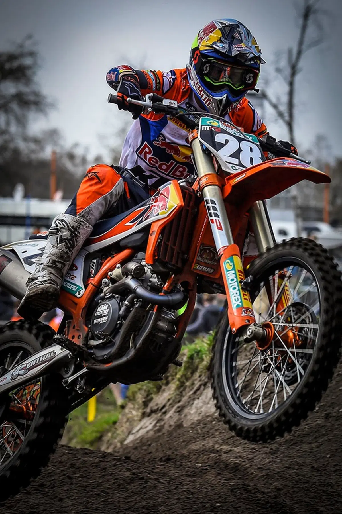 Gallery MX 2019. Le foto più belle del GP d'Olanda (46)